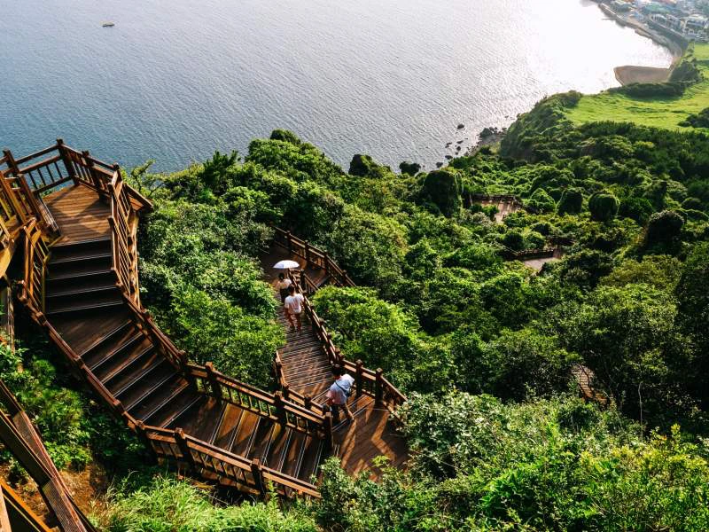 natuur op het Jeju-do eiland