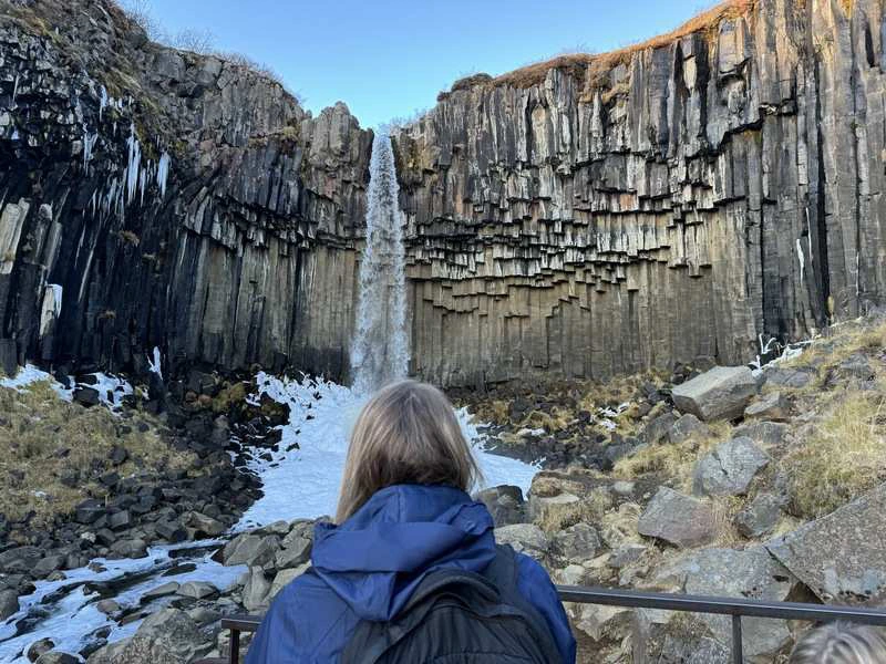 Svartifoss waterval in IJsland