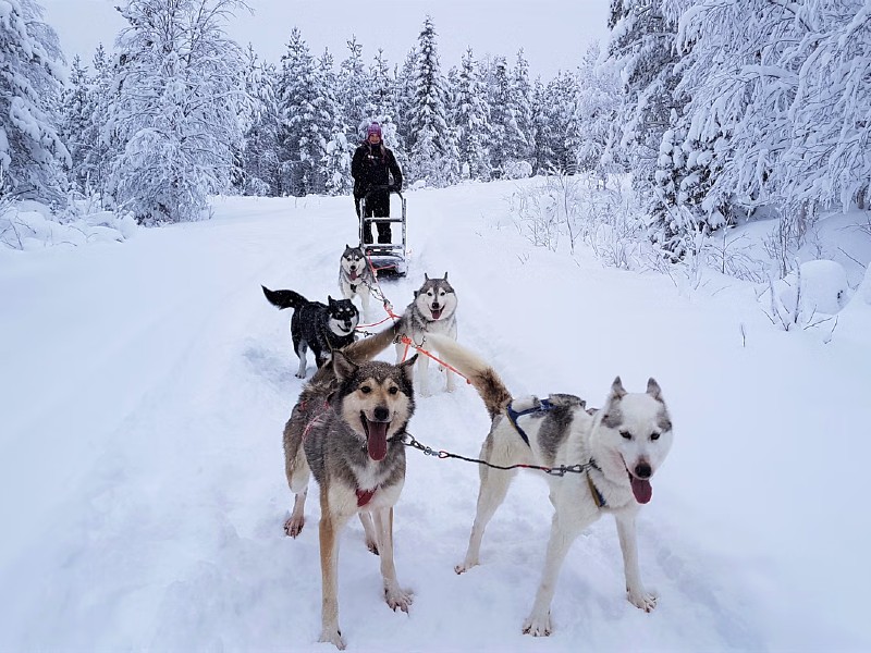 Fins Lapland