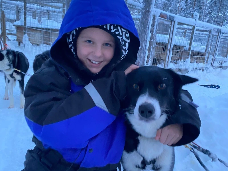 Lapland met kinderen huskey