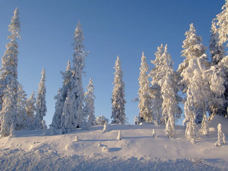 Klimaat Lapland