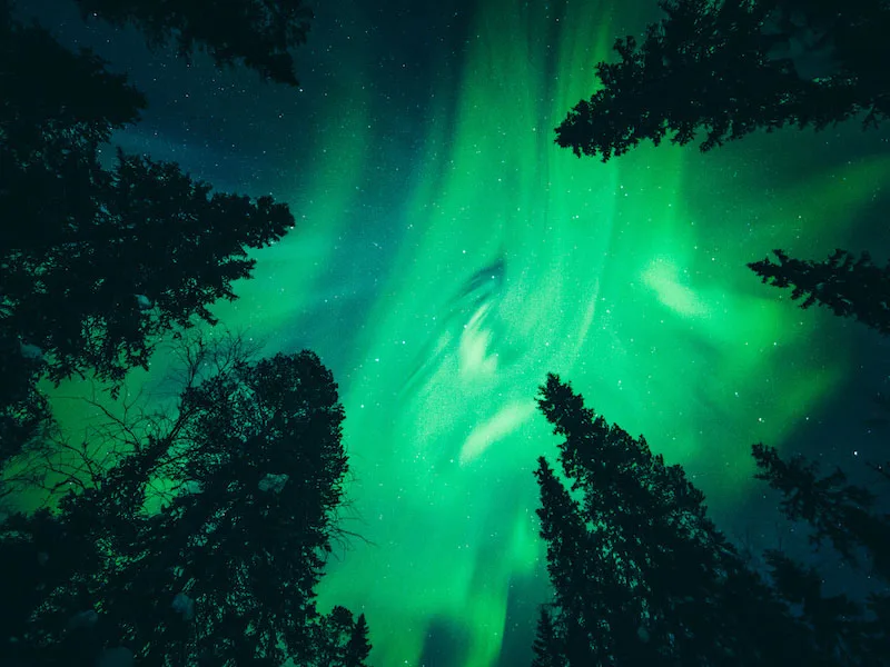 Rondreis Lapland noorderlicht