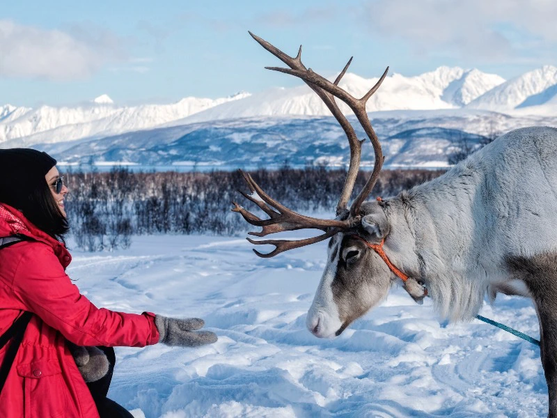 sami cultuur noorwegen
