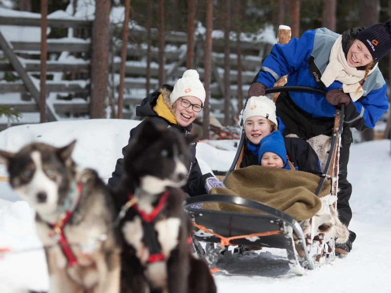 husky safari in lapland