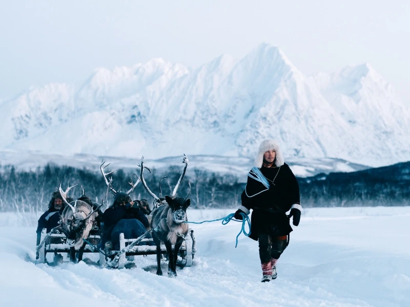 rendieren noorwegen