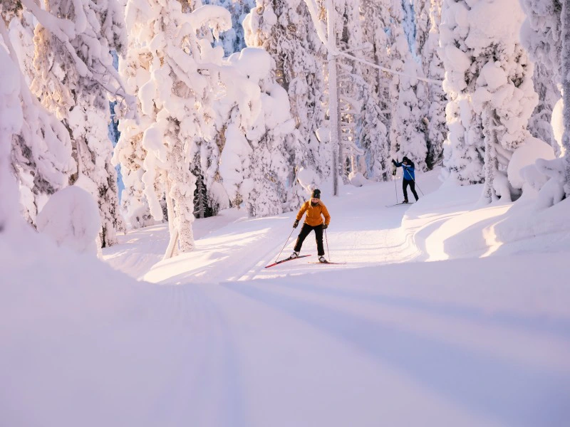 Twee mensen zijn aan het langlaufen over een besneeuwd pad door een winterbos met bomen die volledig bedekt zijn met sneeuw.