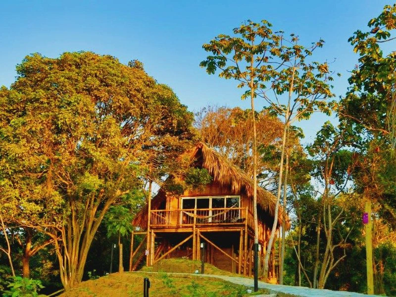 Tayrona comfort hotel