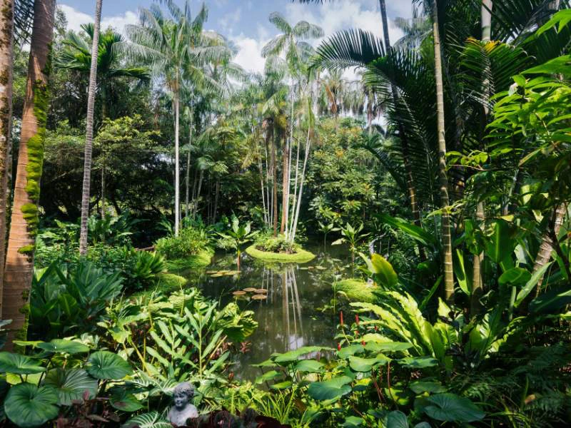 Medellin botanische tuin