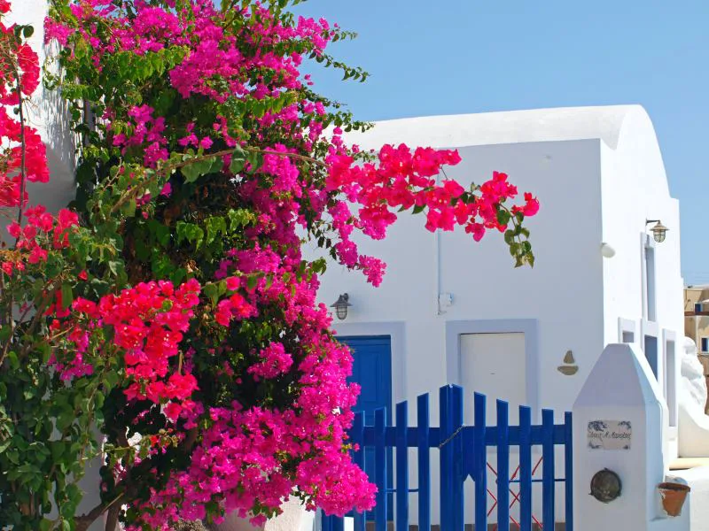 Griekenland Vakantie