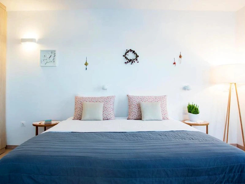 Andros | riksja griekenland