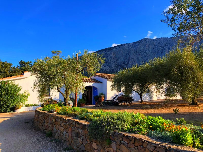 Agriturismo Sardinië in de bergen