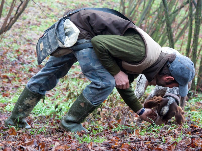 Truffel hunting Piemonte