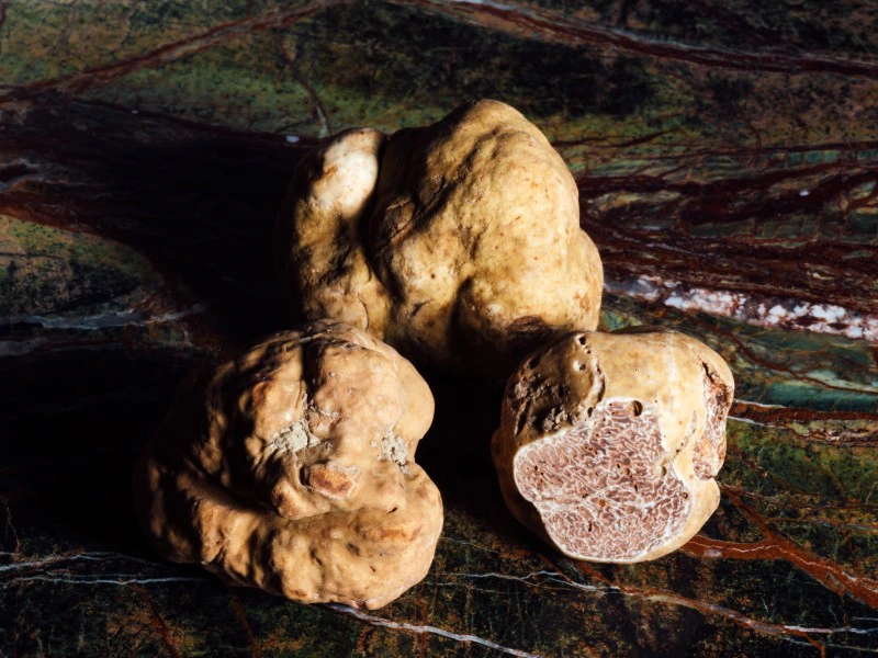 Truffels Piemonte