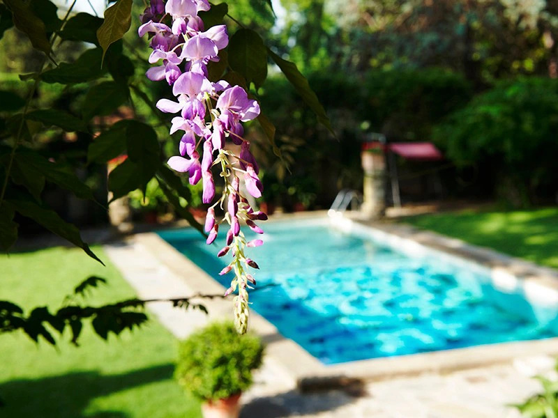 Zwembad comfort hotel Florence