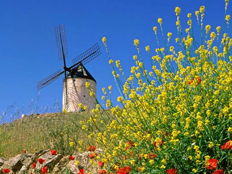 Klimaat en beste reistijd Spanje olijfroute