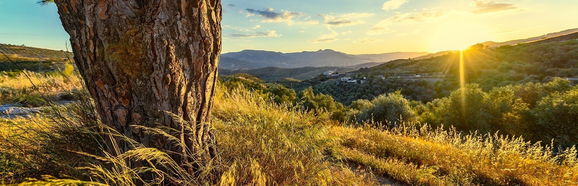 vakantie Spanje vakantie Spanje