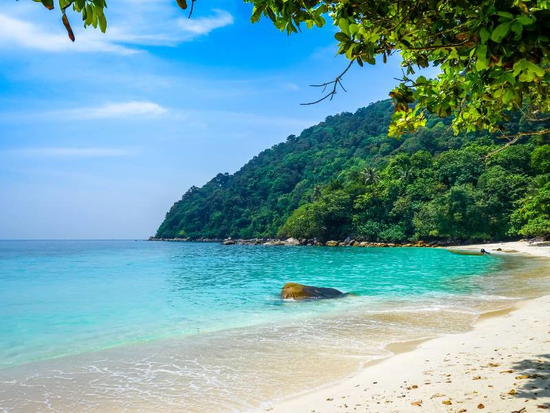 Turtle Beach Perhentian Besar Maleisië
