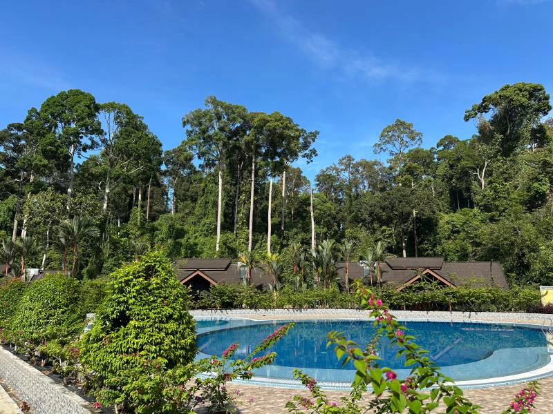 Sepilok resort