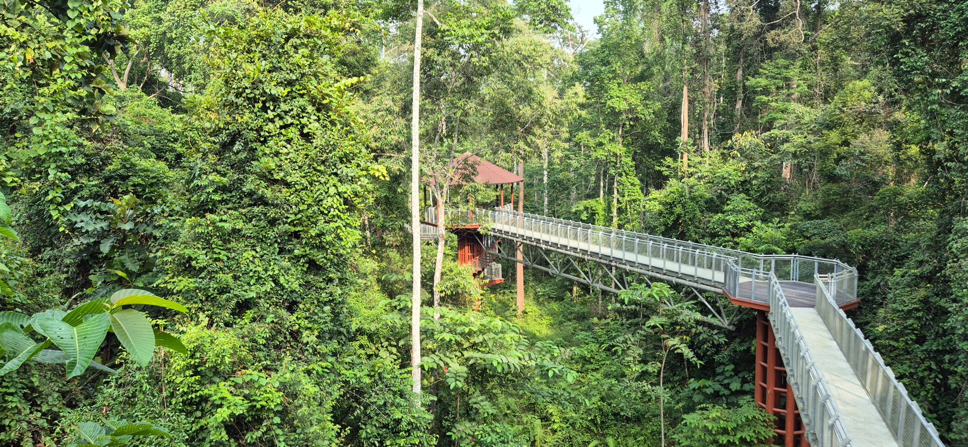 Taman Negara
