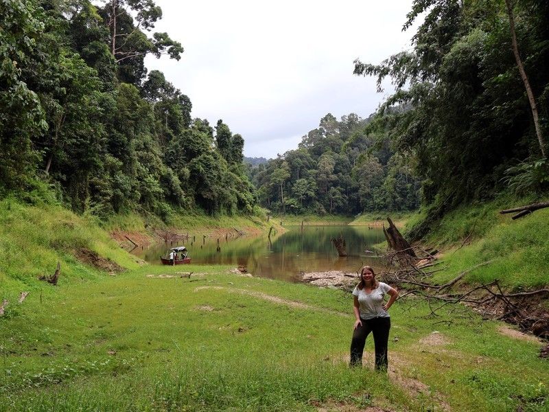 wandelen door de jungle van Belum