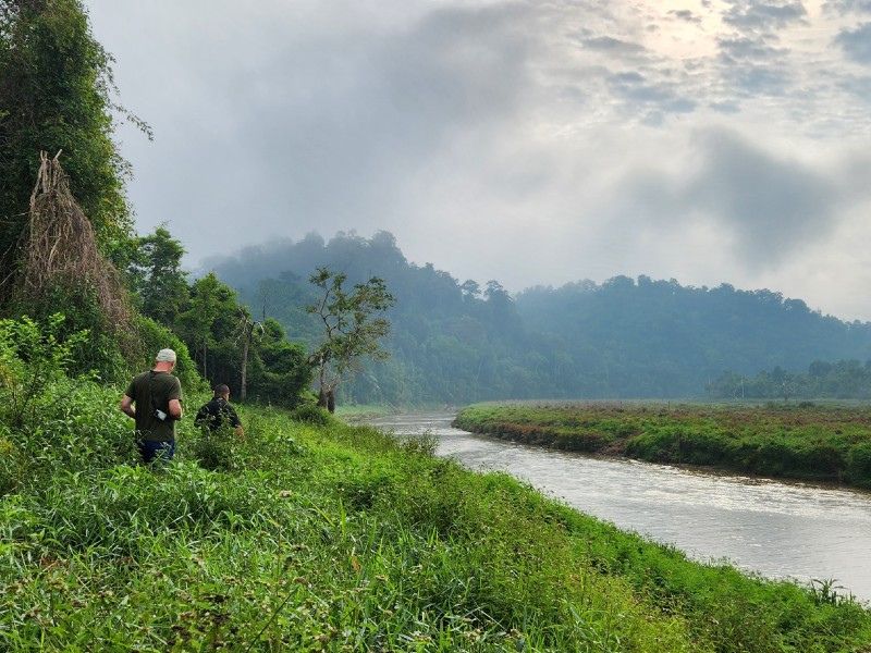 wandelen door het bos Ulu Muda