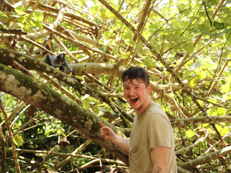 Indonesia - Jungle - Monkey