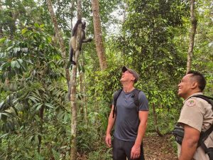 Sumatra - Bukit Lawang - Jungletour