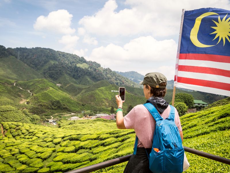 Malaysia - Cameron Highlands - Flag