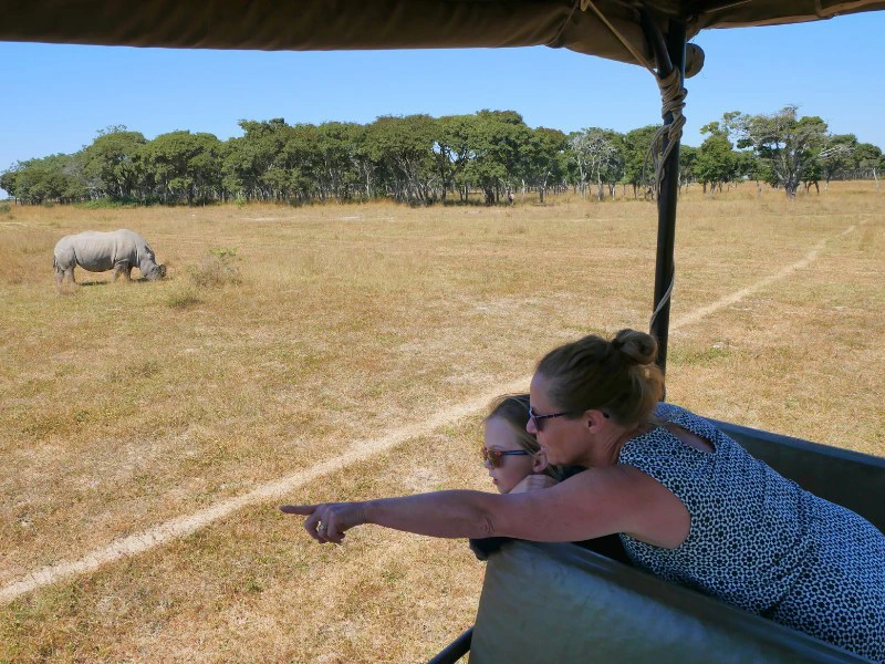 Safari in Chobe national park - Botswana