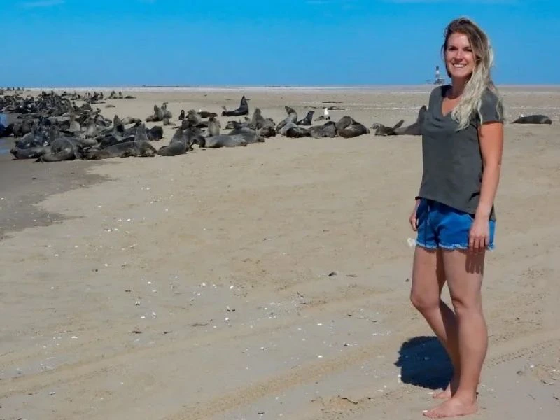 Namibië Swakopmund zeeleeuw