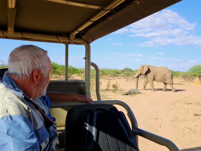 man kijkt uit auto naar olifant