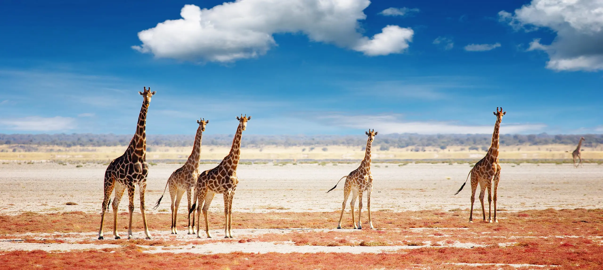 Namibië en Botswana