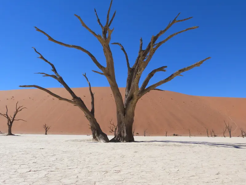 Sossusvlei Namibië