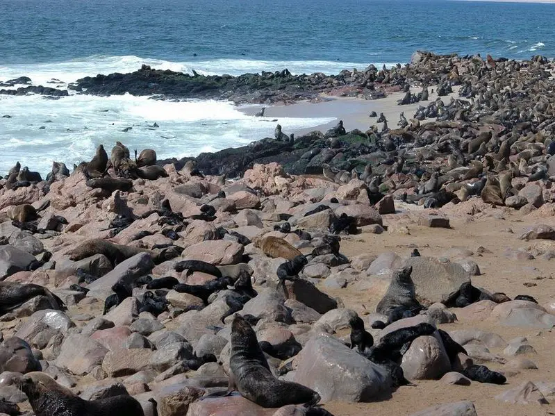 Vakantie Namibië - Swakupmond