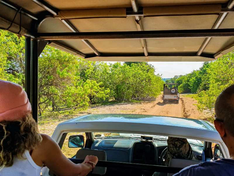 botswana-chobe-game-drive