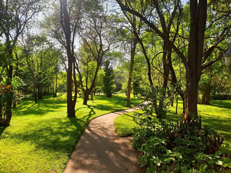 botswana-shakawe-tuin