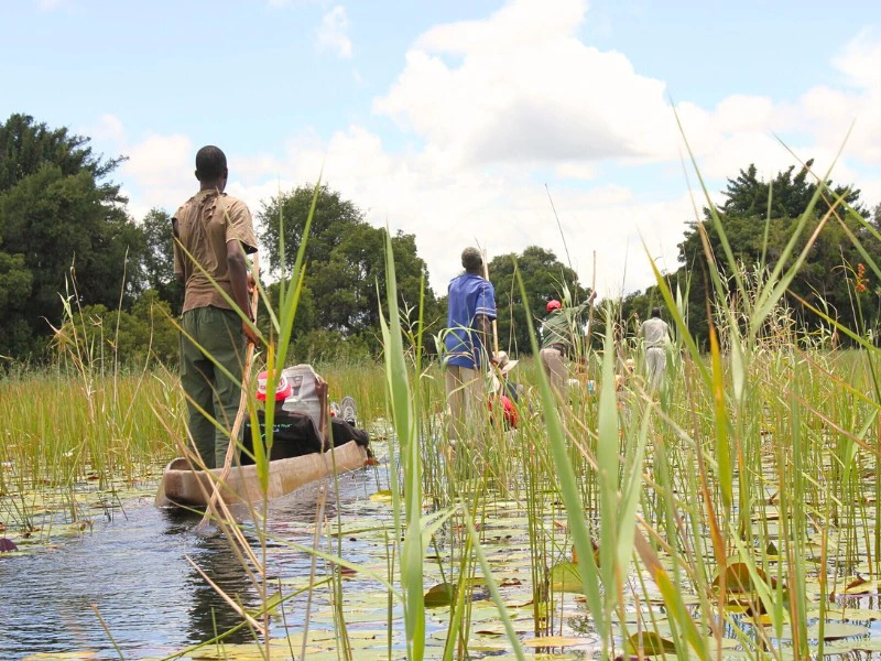 Botswana - Mokoro - 2