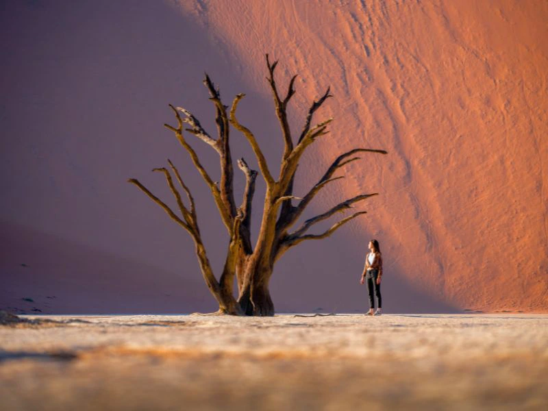 Namibia - Sossusvlei - Deadvlei