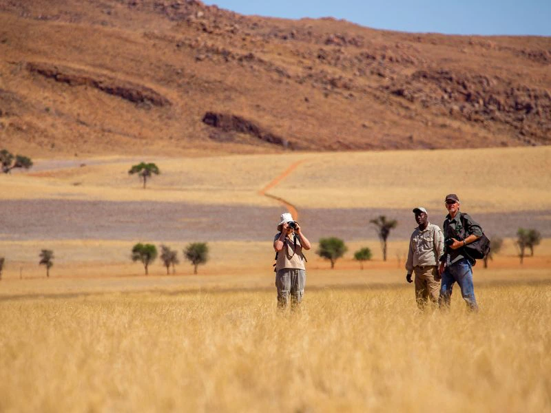 Namibie - Sossusvlei - tok tokkie trail - wandeling gids
