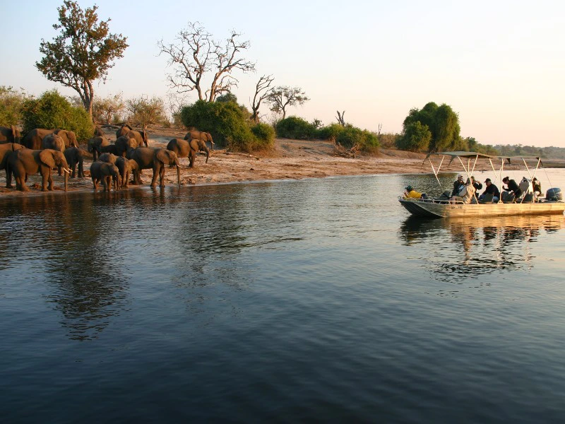 Botswana Chobe bootsafari olifanten
