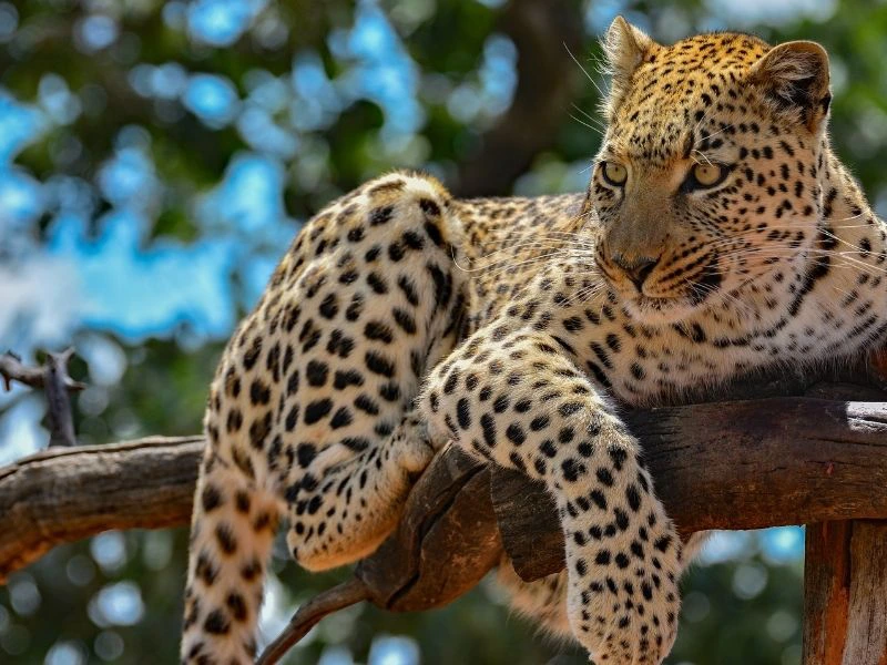 Naankuse Wildlife Sanctuary