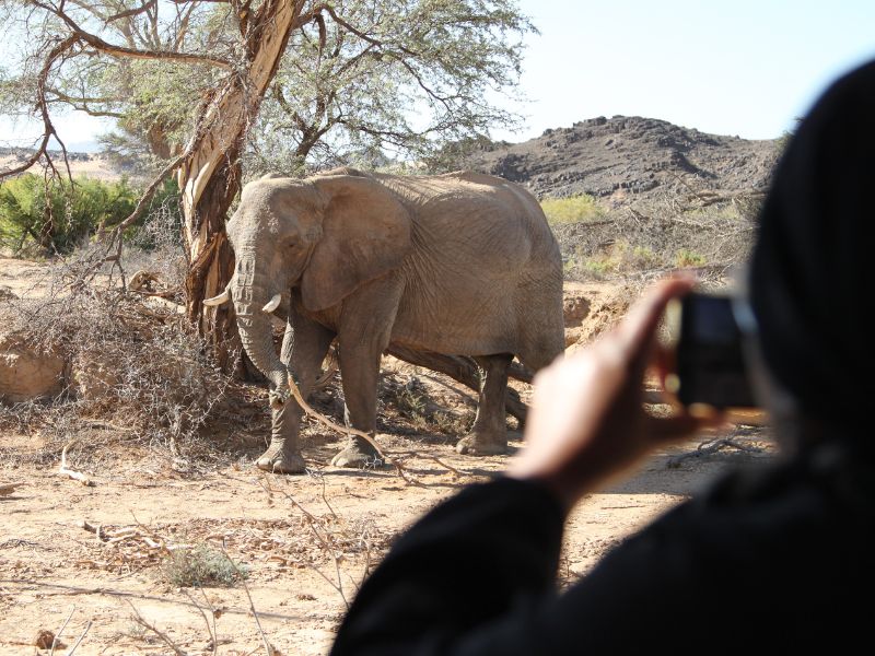 Twyfelfontein - Olifanten