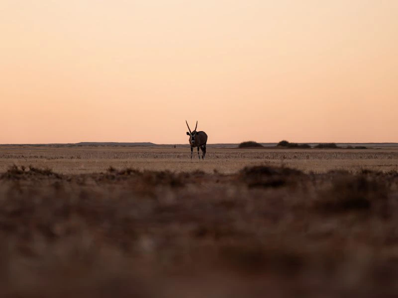 Namibia - Sossusvlei