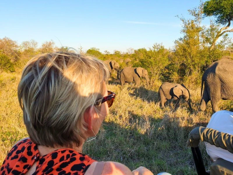 Vrouw in een safarivoertuig kijkt naar een kudde olifanten die door het gras en de struiken loopt in de avondzon.