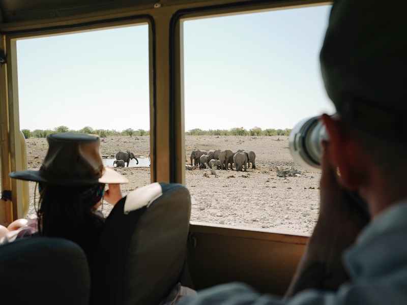 Namibie - Etosha safari vanuit jeep