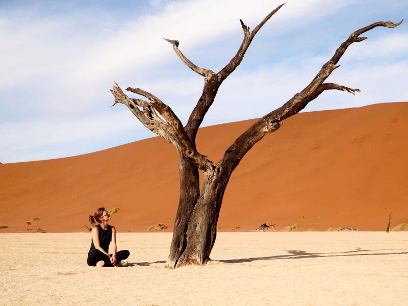 Reiziger zit naast een dode boom in de Deadvlei.