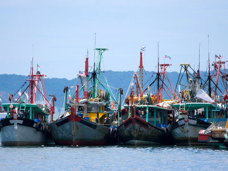 Vissers boten in de haven van Kota Kinabalu