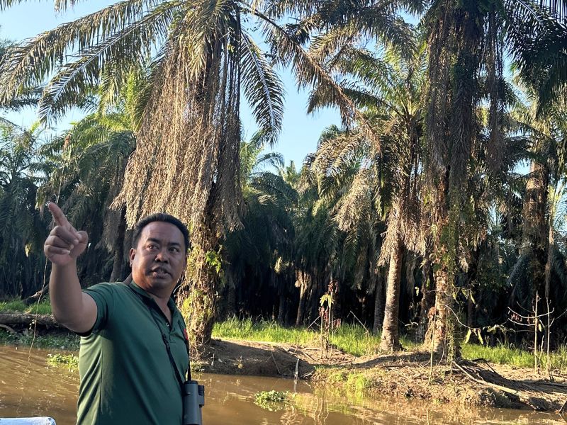 Jungle cruise in Sukau - Borneo