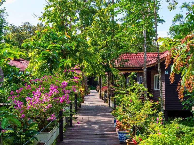 Hotel in Sandakan - Borneo