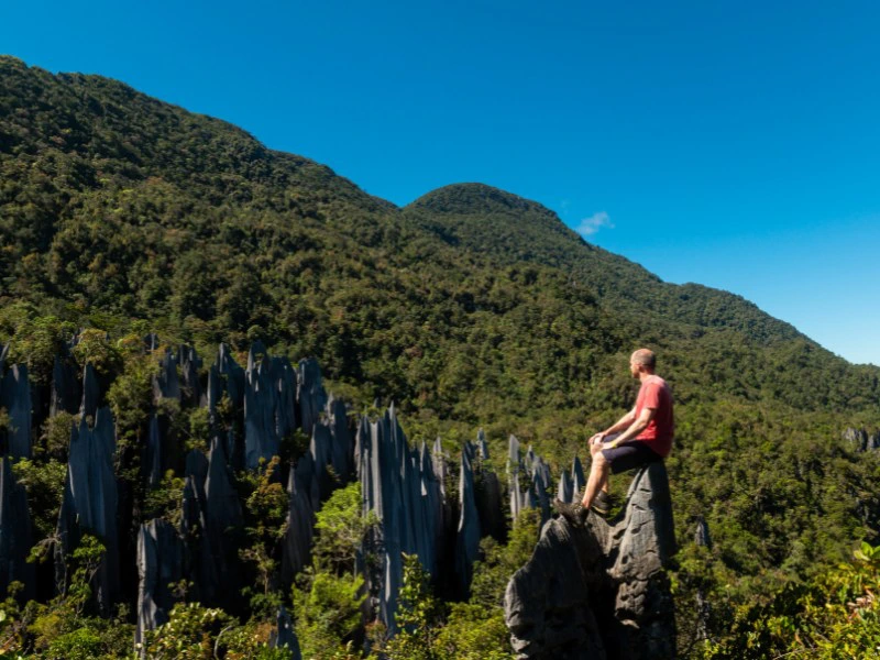 Pinnacles bij Mulu national park - Borneo